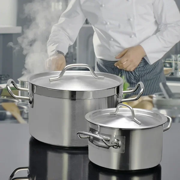 Stainless Steel Multipurpose Pot 2