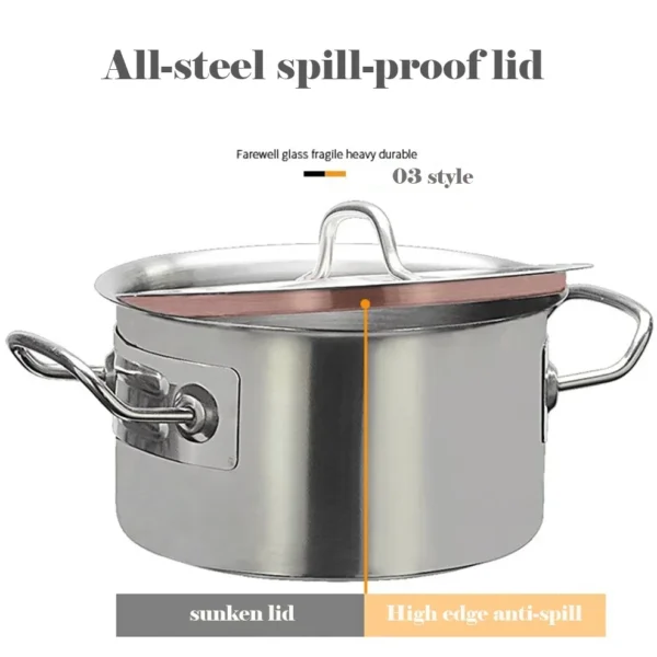 Stainless Steel Multipurpose Pot 6