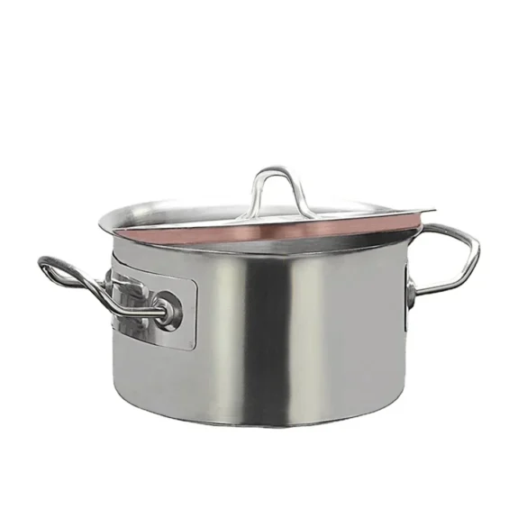 Stainless Steel Multipurpose Pot 1