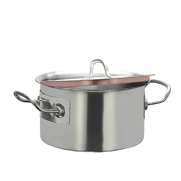 Stainless Steel Multipurpose Pot 1